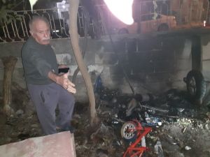 Maytap Bahçeyi Yakıyordu