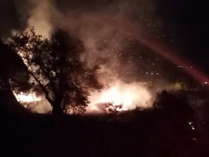 Samandağ’da Zeytinlik Yangını