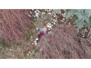 13 Gündür Kayıp Olarak Aranırken İl Sınırı Dışında Cesedi Bulundu