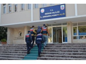 Jasat, 28 Evden Hırsızlık Olayının Şüphelisini Yakaladı