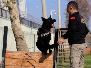 Onlar Zehir Tacirlerinin Korkulu Rüyası
