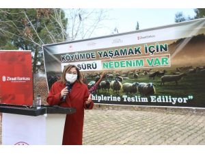 Çiftçilere Yönelik Küçükbaş Hayvan Desteği Başladı