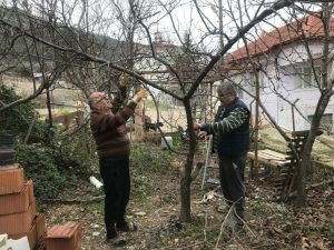 Kışın köye gelemeyen köylülerin evlerinin bakımını komşuları yapıyor