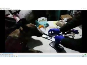 Osmaniye’de Organize Suç Örgütüne Operasyon: 4 Gözaltı