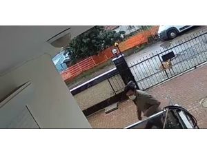 Balkondan masa çalan hırsıza köpek bile baktı kaldı