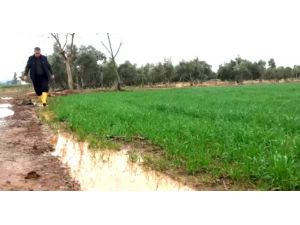Kuraklık Korkusu Yaşayan Çiftçinin Yüzü Yağmurla Güldü