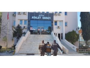 16 Yaşında Olmasına Rağmen 16 Ayrı Suça Karıştığı Otaya Çıktı