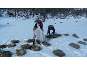 Teröristleri Kovaladıkları Dağlarda Hayvanları Unutmadılar