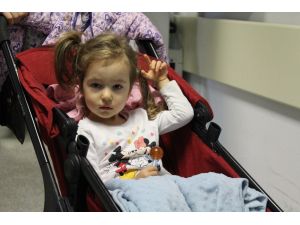 Pitbull Saldırısına Uğrayan Minik Bahar Hastaneden Taburcu Oldu
