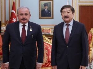Tbmm Başkanı Şentop, Türksoy Genel Sekreteri Kaseinov’u Kabul Etti
