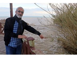 Kedileri kovalayan Alman kurdu köpek Düden Şelalesi’nden denize düşüp telef oldu