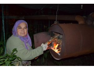 Zirai don uyarısı kadın üreticileri de uyutmadı