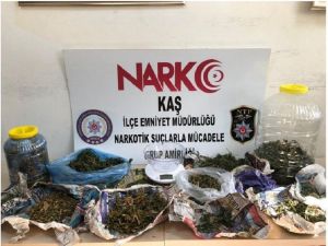Antalya’da 1 buçuk milyon TL’lik makaron ele geçirildi