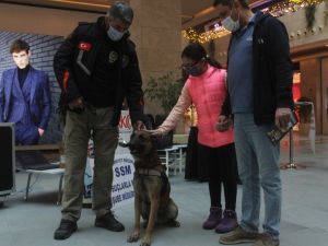 Narkotik Köpeği "Oscar" İlgi Odağı Oldu