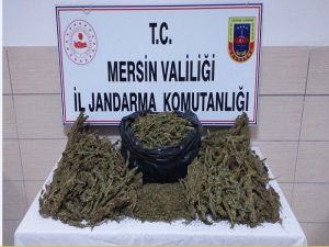 Mersin’de 13 Kilo Kubar Esrar Ele Geçirildi