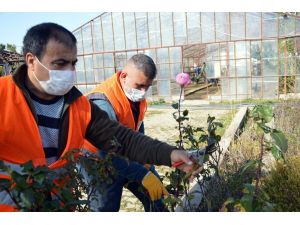 Manavgat üreterek tasarruf ediyor