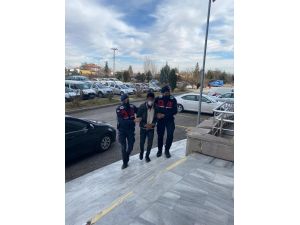 Meyve Fidanı Hırsızlığı Jandarmaya Yakalandı