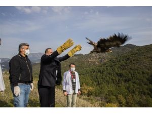 Alanya’da tedavisi tamamlanan 2 şahin ve kartal doğaya salındı