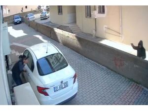 Film Sahnesi Değil, Sokak Ortasında Kız Yüzünden Çatışma