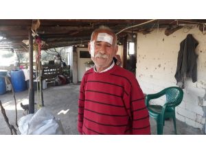 Seralarını kontrol ederken maganda kurşunuyla başından yaralandı