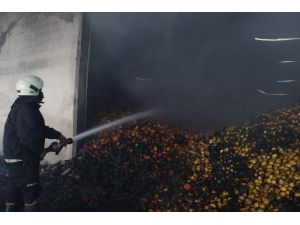 Narenciye Fabrikasındaki Yangında Soğutma Çalışmaları Sürüyor
