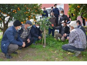 Büyükşehir Belediyesinden  Alanyalı çiftçilere uygulamalı eğitim