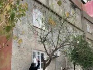 Sepet Sarkıtarak Uyuşturucu Satışına Suçüstü