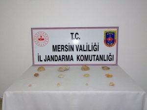 Erdemli’de Tarihi Eser Niteliğinde Fosil Ele Geçirildi