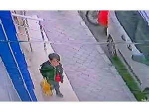 5 Litrelik Ayçiçeği Yağının Çalınma Anı Güvenlik Kamerasında