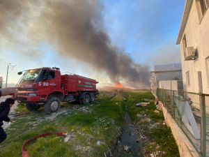 Antalya’da korkutan sazlık yangını