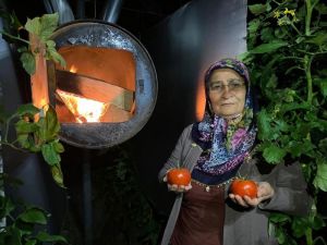 Kadın çiftçilerin zirai don nöbeti