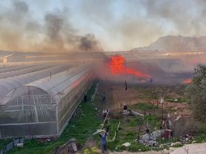 Büyükşehir, yangında serası zarar gören üreticiye destek verecek