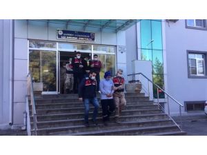 Cesedi Ormanda Bulunan Operatörün Ölümünün Arkasından Yasak Aşk Çıktı