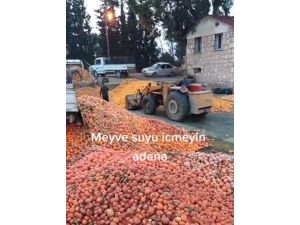 Çürümüş Meyvelerin Meyve Suyu Olmadığı Ortaya Çıktı
