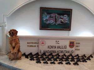 Denizli Jandarması Silah Kaçakçılarına Geçit Vermedi