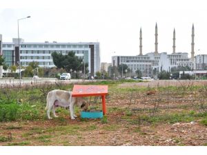 Konyaaltı Belediyesi’nden, AÜ’ye beslenme odağı