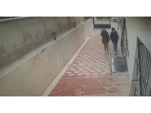 Ev Hırsızları Önce Kameralara Ardından Polise Yakalandı