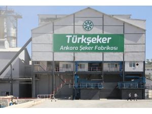 Ankara Şeker Fabrikası’ndan Tüm Zamanların En "Tatlı" Rekoru