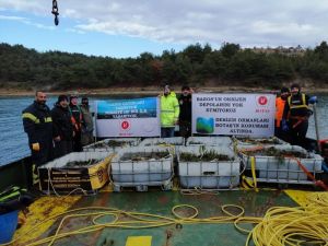 Botaş’tan Saros Körfezi’nde Gerçekleştirdiği Proje Alanına 100 Bin Ağaç