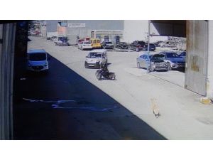 Köpekten korkan motosikletli otomobile çarptı: 1 yaralı