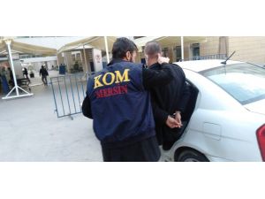 Mersin’de Kadının Yönettiği Tefeci Çetesi Çökertildi