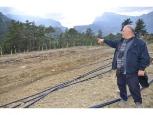 Herkes köyden kente giderken o Almanya’dan köyüne döndü