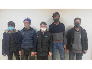 Osmaniye’de Afgan Uyruklu 5 Göçmen Yakalandı