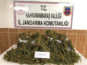 Kahramanmaraş’ta Uyuşturucu Operasyonunda 3 Gözaltı
