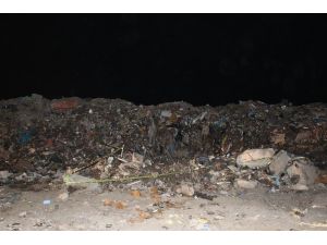 Ankara’da Yakılmış Köpek Ölüsü Bulundu
