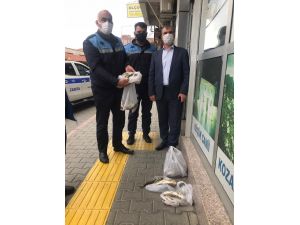 Bozuk Balıkları Vatandaşa Yedireceklerdi