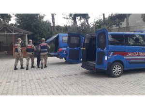 Kaçak Yolla Türkiye’ye Giren Göçmenler Kaza Yapınca Yakalandı
