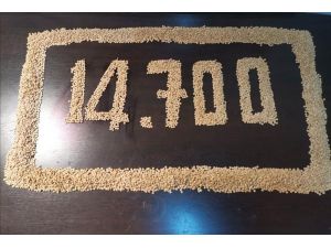 İskenderun’da 14 Bin 700 Adet Uyuşturucu Hap Ele Geçirildi