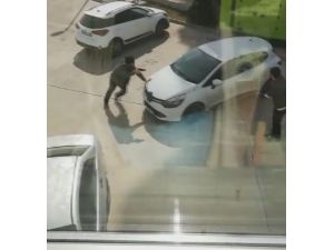 Başkent’te Akıl Olmaz Olay