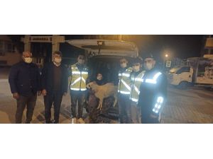 Evin önünden çalınan kuzu bulunup sahibine teslim edildi